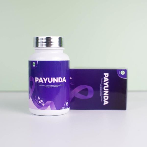 Payunda