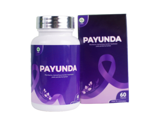 Payunda