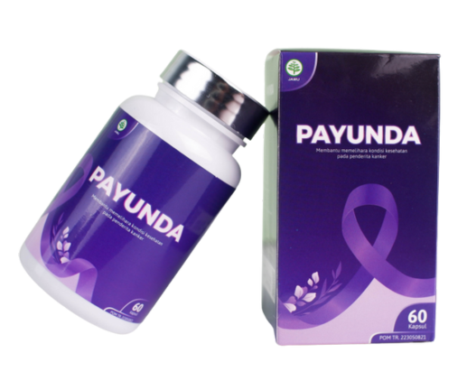 Payunda