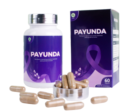 Payunda