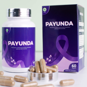 Payunda
